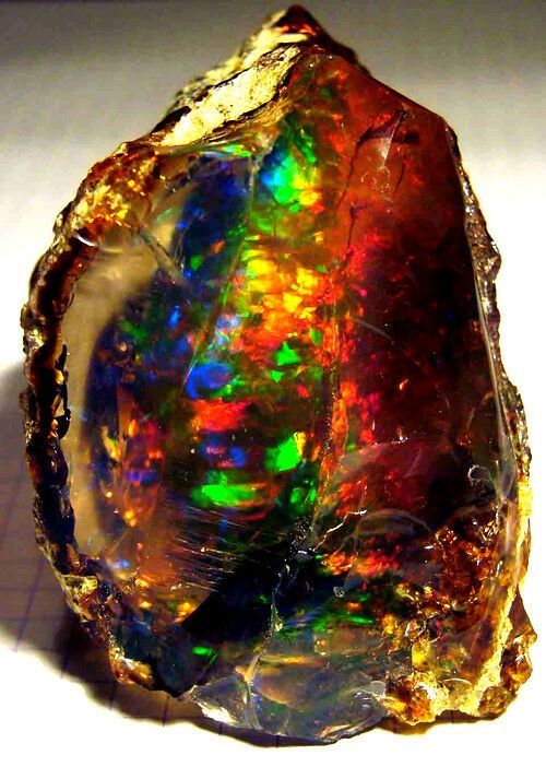  Opal